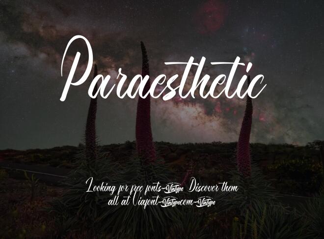 Paraesthetic Font