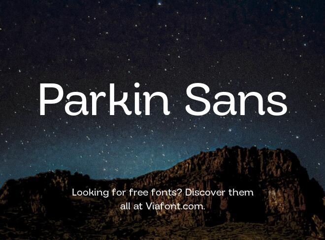 Parkin Sans Font