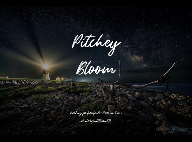 Pitchey Bloom Font