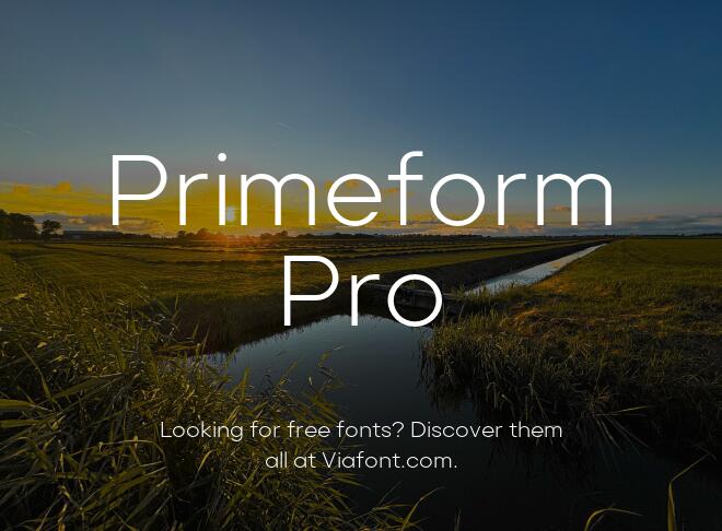 Primeform Pro Font