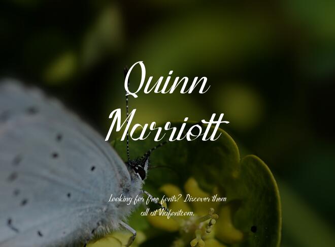 Quinn Marriott Font