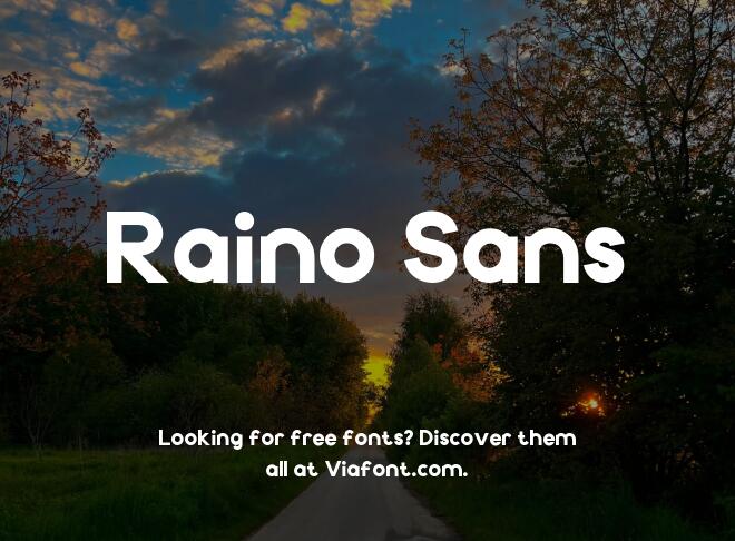 Raino Sans Font