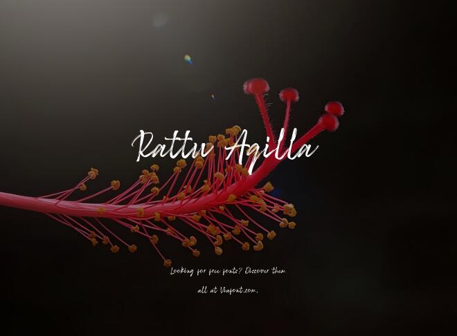 Rattu Aqilla Font