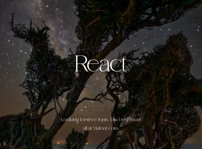 React Font