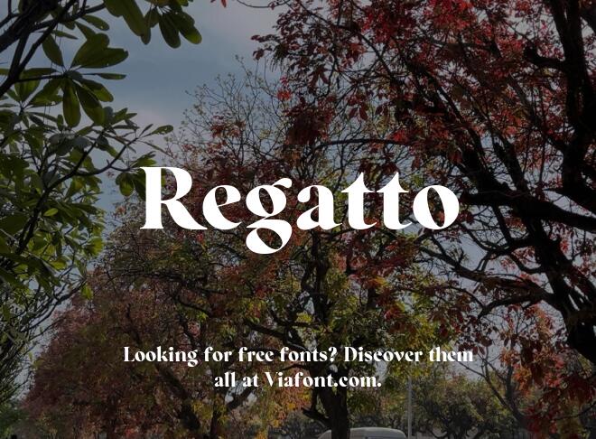 Regatto Font