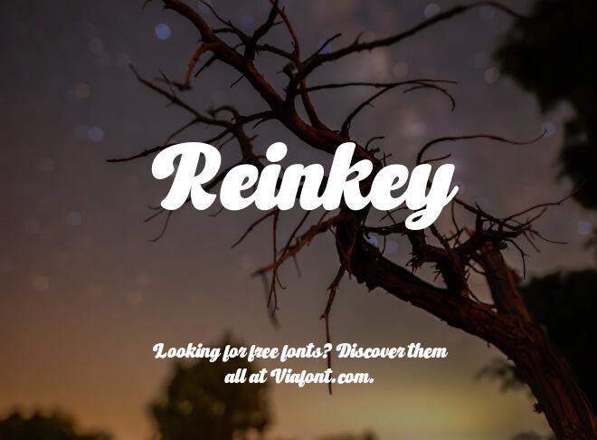 Reinkey Font