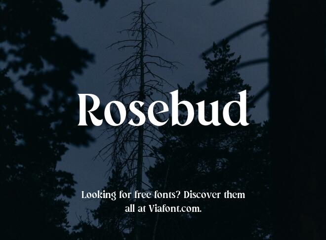 Rosebud Font
