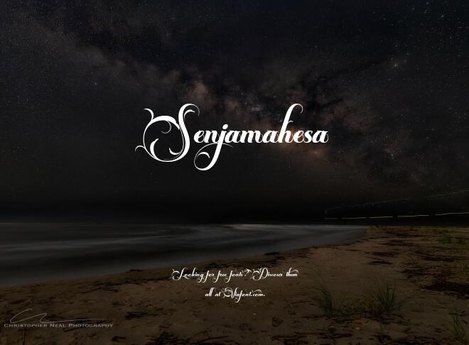 Senjamahesa Font
