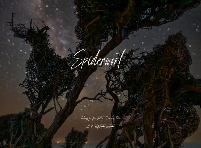 Spiderwort Font