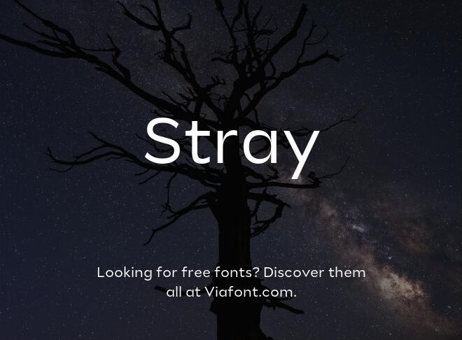 Stray Font