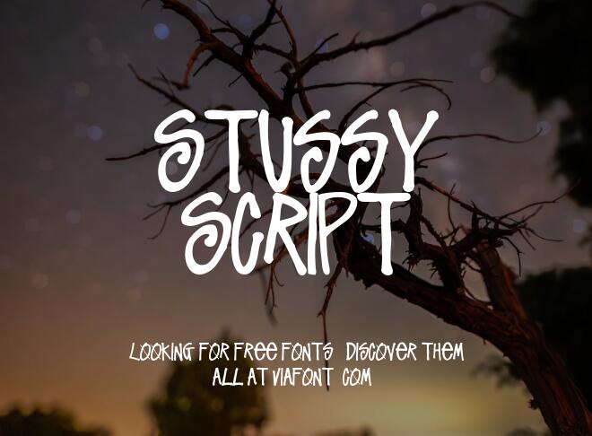 Stussy Script Font