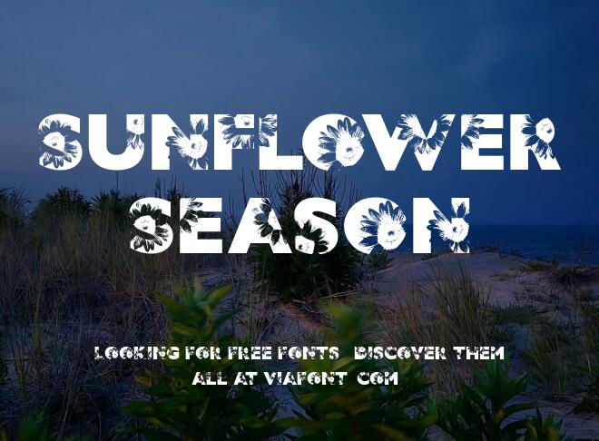 Sunflower Season Font
