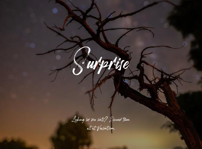 Surprise Font