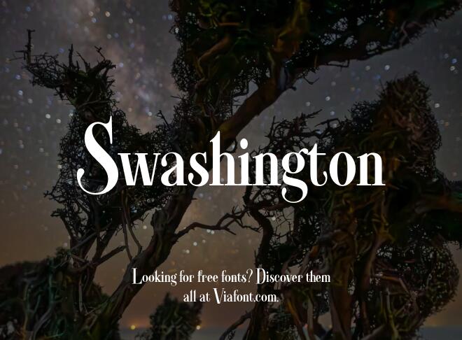 Swashington Font