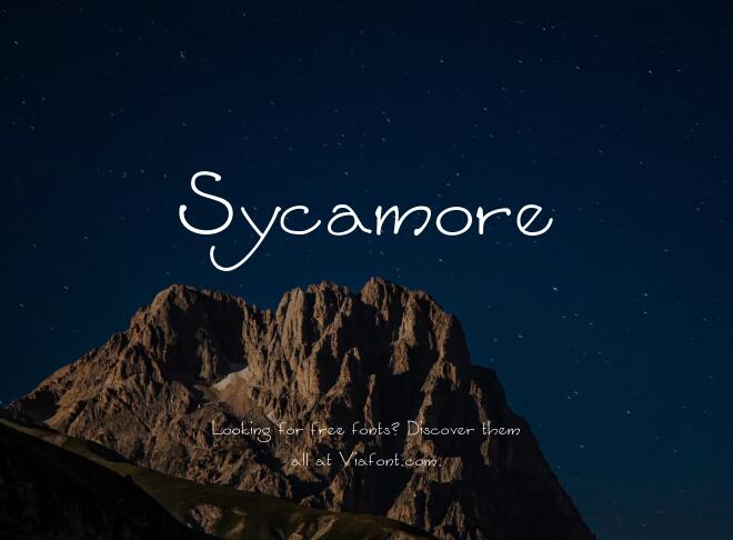 Sycamore Font