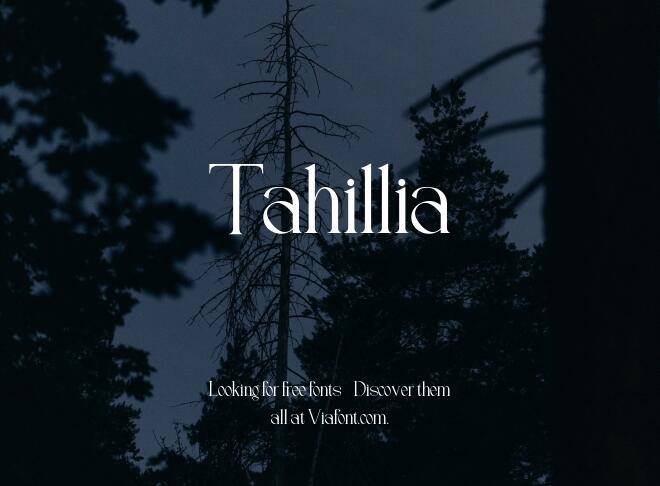 Tahillia Font