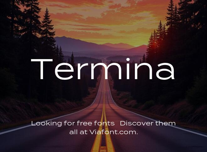 Termina Font