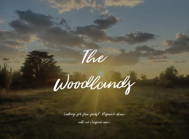 The Woodlands Font
