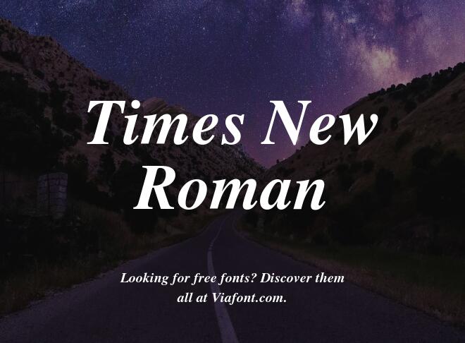 Times New Roman Font