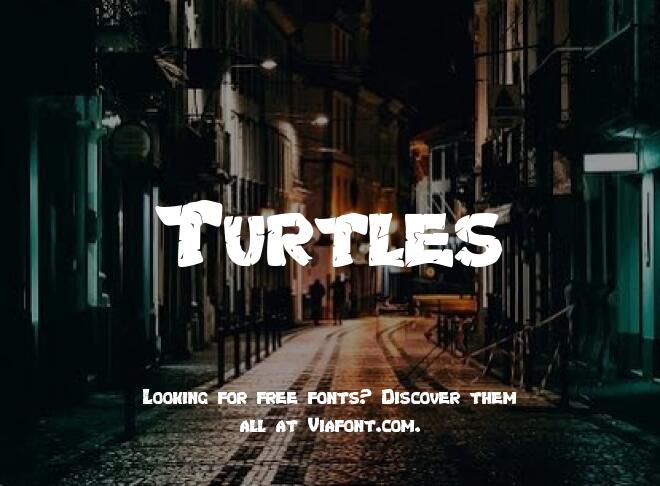 Turtles Font