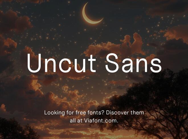 Uncut Sans Font