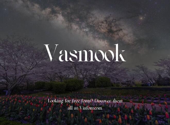 Vasmook Font