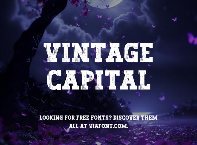 Vintage Capital Font