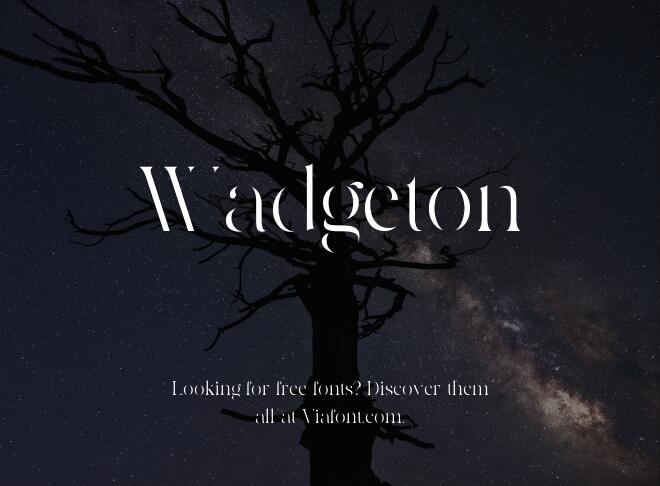 Wadgeton Font