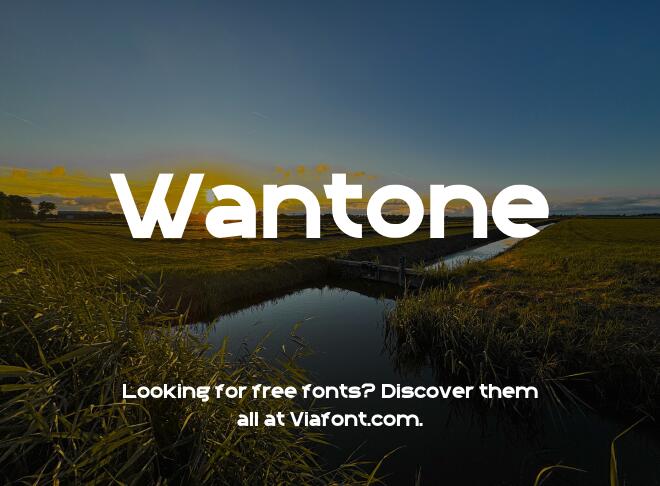Wantone Font