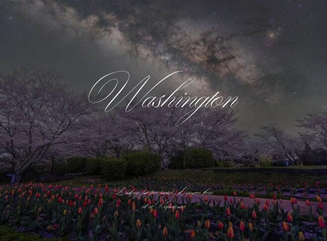 Washington Font