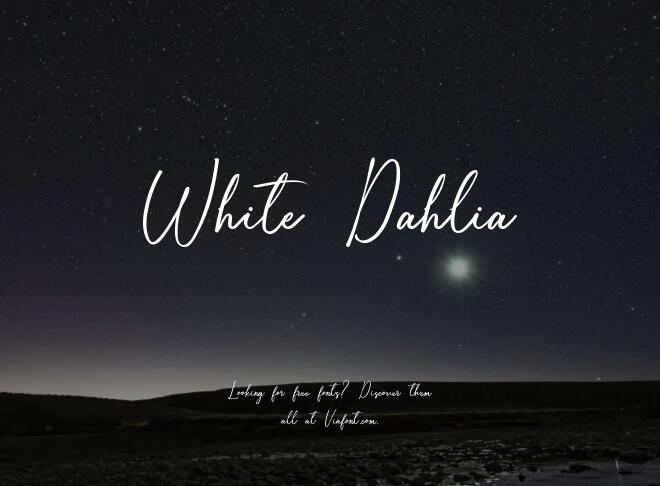 White Dahlia Font