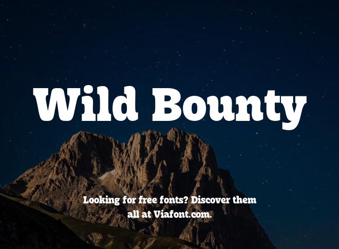 Wild Bounty Font