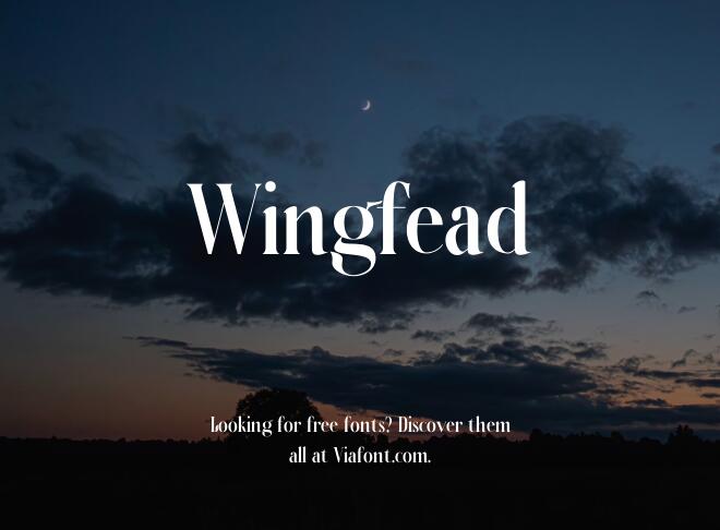 Wingfead Font