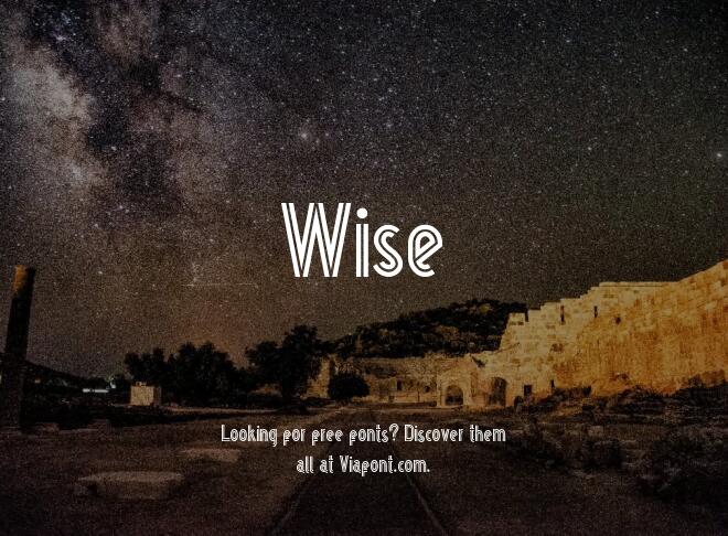 Wise Font