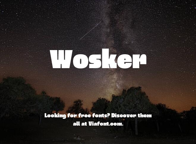 Wosker Font